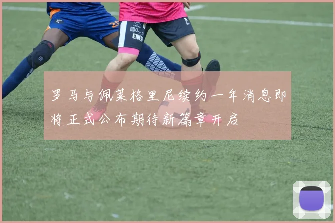 罗马与佩莱格里尼续约一年消息即将正式公布期待新篇章开启
