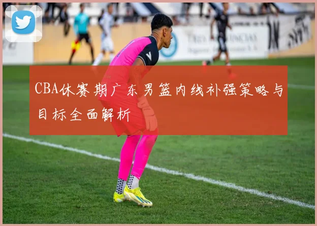 CBA休赛期广东男篮内线补强策略与目标全面解析